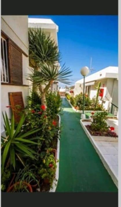 Puerto Rico Savage 3 Appartement